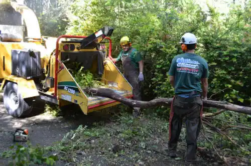 tree services Pueblo West